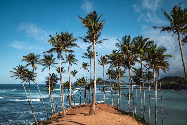 Ceylon Atlantic Tours