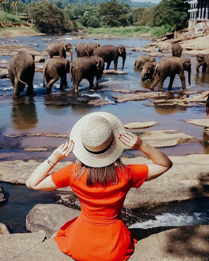 Ceylon Atlantic Tours